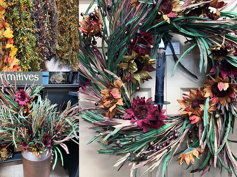 Plants